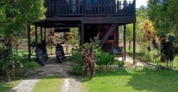 DIJUAL RUMAH VILLA, RUMAH WALET DAN TANAH Jl. SELIMAU 1 (BELAKANG GEDUNG PERTANIAN) – BULUNGAN – KALTARA