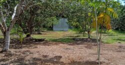 DIJUAL RUMAH VILLA, RUMAH WALET DAN TANAH Jl. SELIMAU 1 (BELAKANG GEDUNG PERTANIAN) – BULUNGAN – KALTARA