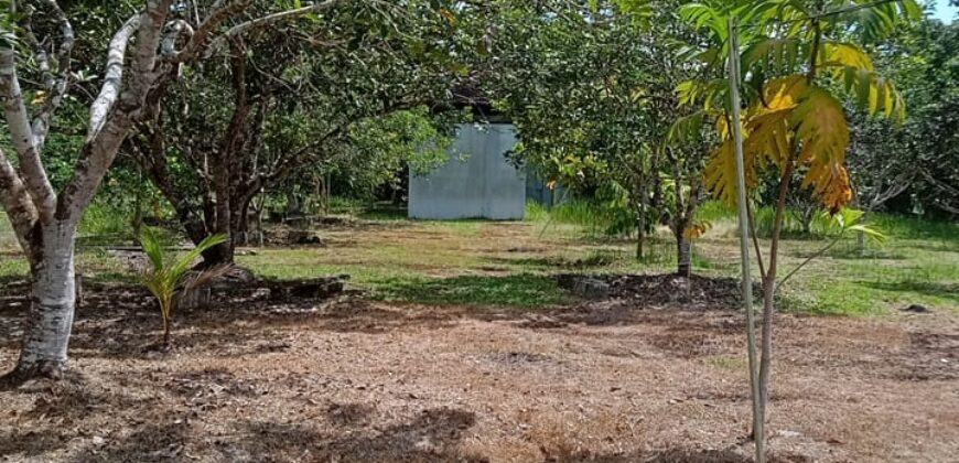 DIJUAL RUMAH VILLA, RUMAH WALET DAN TANAH Jl. SELIMAU 1 (BELAKANG GEDUNG PERTANIAN) – BULUNGAN – KALTARA