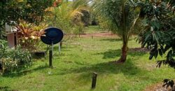 DIJUAL RUMAH VILLA, RUMAH WALET DAN TANAH Jl. SELIMAU 1 (BELAKANG GEDUNG PERTANIAN) – BULUNGAN – KALTARA