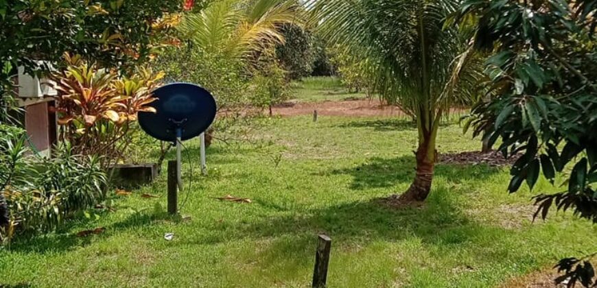 DIJUAL RUMAH VILLA, RUMAH WALET DAN TANAH Jl. SELIMAU 1 (BELAKANG GEDUNG PERTANIAN) – BULUNGAN – KALTARA