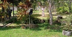 DIJUAL RUMAH VILLA, RUMAH WALET DAN TANAH Jl. SELIMAU 1 (BELAKANG GEDUNG PERTANIAN) – BULUNGAN – KALTARA