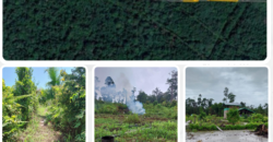 DIJUAL TANAH Jl. RINGROAD/PROVIDEN (JUATA LAUT) – TARAKAN – KALTARA