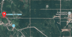 DIJUAL TANAH DESA BINAI (DEKAT PT. PRIMA BAHAGIA PERMAI)- BULUNGAN – KALTARA