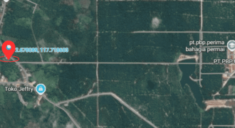 DIJUAL TANAH DESA BINAI (DEKAT PT. PRIMA BAHAGIA PERMAI)- BULUNGAN – KALTARA