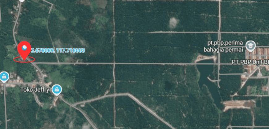 DIJUAL TANAH DESA BINAI (DEKAT PT. PRIMA BAHAGIA PERMAI)- BULUNGAN – KALTARA