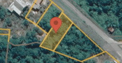 DIJUAL TANAH DESA BINAI (DEKAT PT. PRIMA BAHAGIA PERMAI)- BULUNGAN – KALTARA