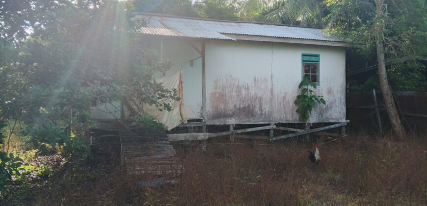 DIJUAL TANAH DAN RUMAH Jl. GARUDA (SELIMAU 1) – BULUNGAN – KALTARA