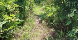 DIJUAL TANAH Jl. RINGROAD/PROVIDEN (JUATA LAUT) – TARAKAN – KALTARA