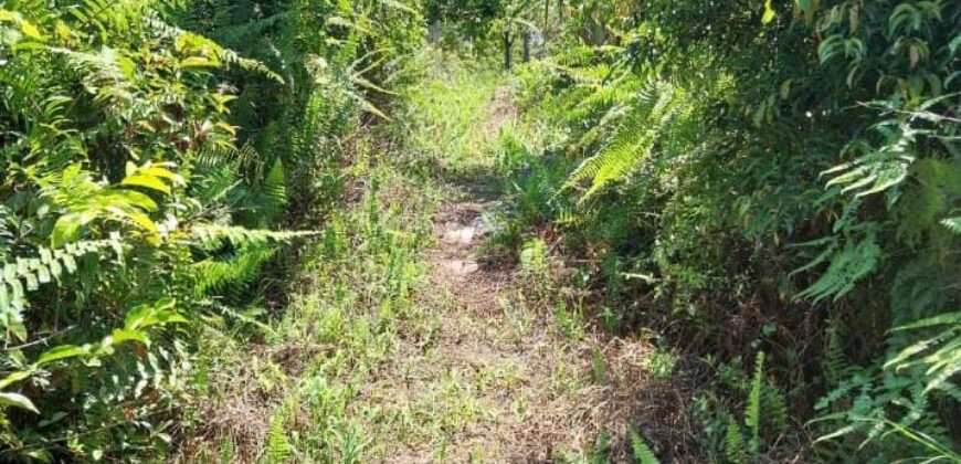 DIJUAL TANAH Jl. RINGROAD/PROVIDEN (JUATA LAUT) – TARAKAN – KALTARA