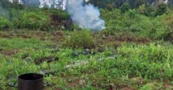 DIJUAL TANAH Jl. RINGROAD/PROVIDEN (JUATA LAUT) – TARAKAN – KALTARA