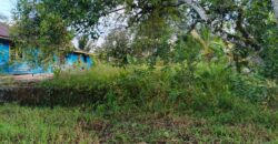 DIJUAL TANAH Jl. JIU TULAI (SELIMAU PKMT) – BULUNGAN – KALTARA