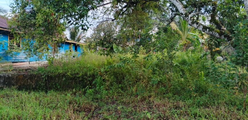 DIJUAL TANAH Jl. JIU TULAI (SELIMAU PKMT) – BULUNGAN – KALTARA