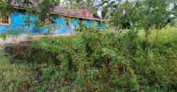 DIJUAL TANAH Jl. JIU TULAI (SELIMAU PKMT) – BULUNGAN – KALTARA