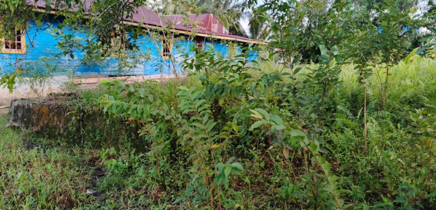 DIJUAL TANAH Jl. JIU TULAI (SELIMAU PKMT) – BULUNGAN – KALTARA