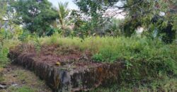 DIJUAL TANAH Jl. JIU TULAI (SELIMAU PKMT) – BULUNGAN – KALTARA