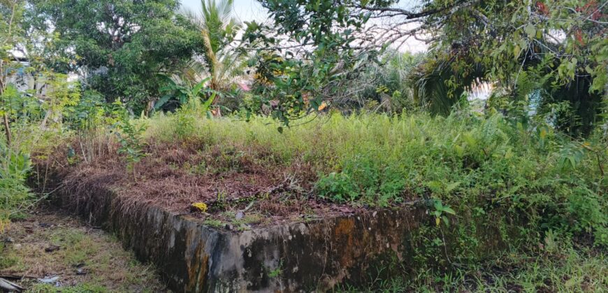 DIJUAL TANAH Jl. JIU TULAI (SELIMAU PKMT) – BULUNGAN – KALTARA