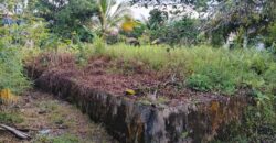 DIJUAL TANAH Jl. JIU TULAI (SELIMAU PKMT) – BULUNGAN – KALTARA