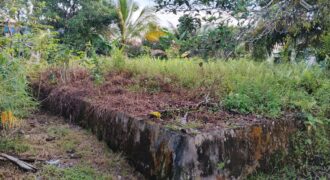 DIJUAL TANAH Jl. JIU TULAI (SELIMAU PKMT) – BULUNGAN – KALTARA