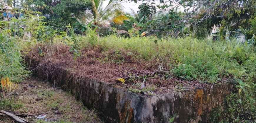 DIJUAL TANAH Jl. JIU TULAI (SELIMAU PKMT) – BULUNGAN – KALTARA