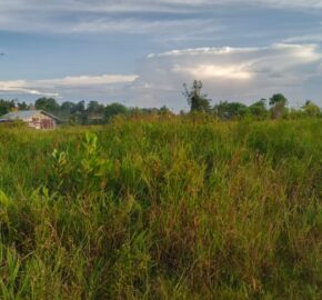 DIJUAL TANAH Jl. BENGAWAN (DEKAT PABRIK KERTAS) – TARAKAN – KALTARA