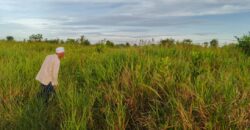 DIJUAL TANAH Jl. BENGAWAN (DEKAT PABRIK KERTAS) – TARAKAN – KALTARA