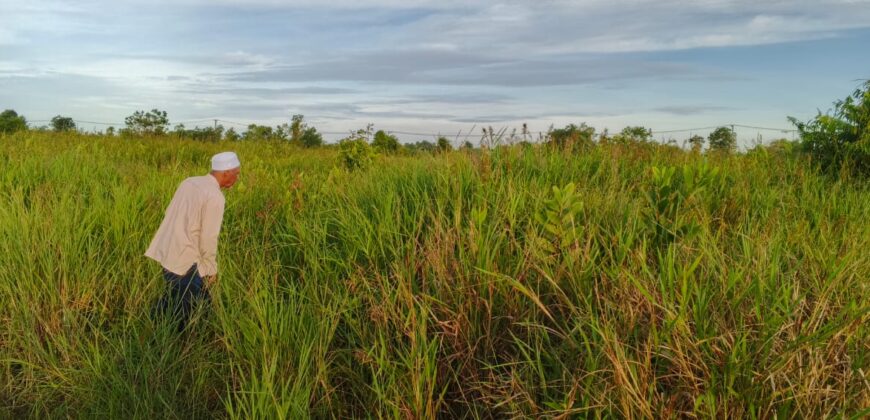 DIJUAL TANAH Jl. BENGAWAN (DEKAT PABRIK KERTAS) – TARAKAN – KALTARA