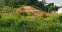 DIJUAL TANAH Jl. GELATIK PERTANIAN (DEKAT DENGAN BANDAR UDARA) – BULUNGAN – KALTARA