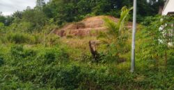 DIJUAL TANAH Jl. GELATIK PERTANIAN (DEKAT DENGAN BANDAR UDARA) – BULUNGAN – KALTARA