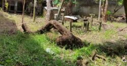 DIJUAL RUMAH Jl. LUMBA-LUMBA (DEKAT BANDAR UDARA) – NUNUKAN – KALTARA