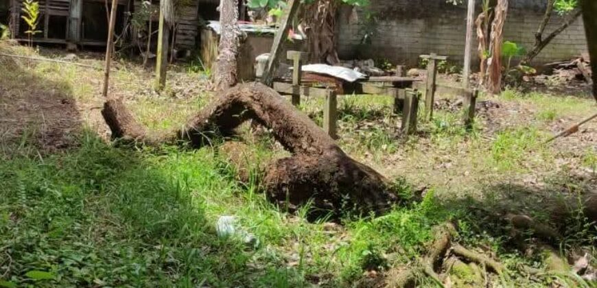 DIJUAL RUMAH Jl. LUMBA-LUMBA (DEKAT BANDAR UDARA) – NUNUKAN – KALTARA