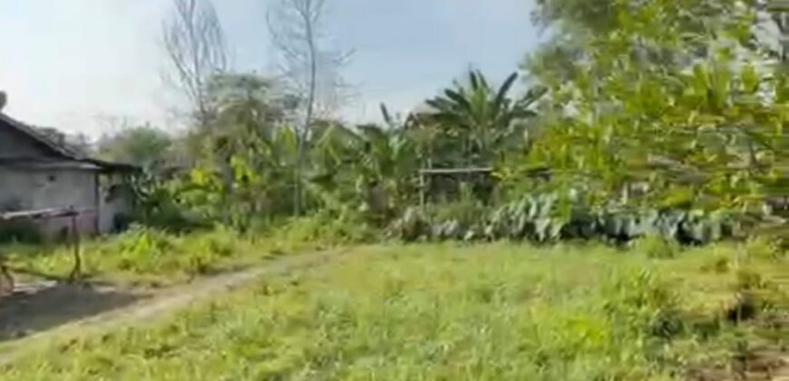 DIJUAL TANAH Jl. MERPATI (PERUMAHAN KORPRI) – TARAKAN – KALTARA