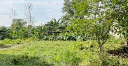 DIJUAL TANAH Jl. MERPATI (PERUMAHAN KORPRI) – TARAKAN – KALTARA