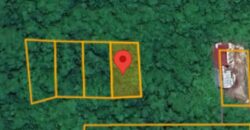 DIJUAL TANAH Jl. SABANAR LAMA II (GG. WATAWAN) BULUNGAN – KALTARA