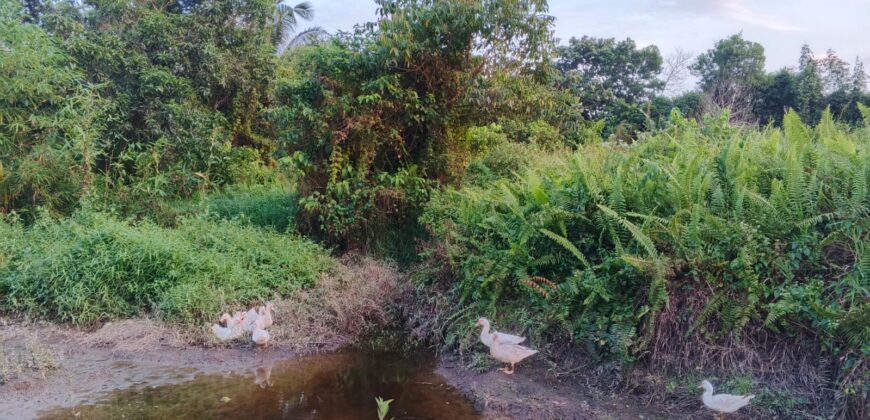 DIJUAL TANAH Jl. PERUM PNS JUATA KORPRI – TARAKAN – KALTARA