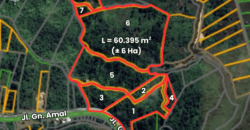 DIJUAL TANAH (± 6 HA) Jl. GN. AMAL (KAMPUNG ENAM)- TARAKAN – KALTARA