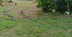 DIJUAL TANAH DAN RUMAH Jl. AKI BALAK (SAMPING PERUM MANDIRI REGENCY DAN 613 RJA) – TARAKAN – KALTARA