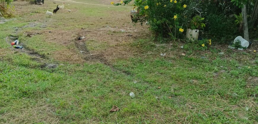 DIJUAL TANAH DAN RUMAH Jl. AKI BALAK (SAMPING PERUM MANDIRI REGENCY DAN 613 RJA) – TARAKAN – KALTARA