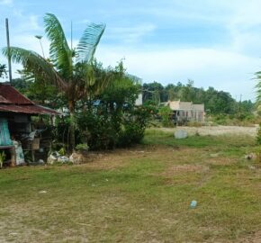 DIJUAL TANAH DAN RUMAH Jl. AKI BALAK (SAMPING PERUM MANDIRI REGENCY DAN 613 RJA) – TARAKAN – KALTARA