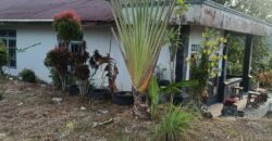 DIJUAL TANAH DAN RUMAH Jl. AKI BALAK (SAMPING PERUM MANDIRI REGENCY DAN 613 RJA) – TARAKAN – KALTARA