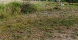 DIJUAL TANAH DAN RUMAH Jl. AKI BALAK (SAMPING PERUM MANDIRI REGENCY DAN 613 RJA) – TARAKAN – KALTARA