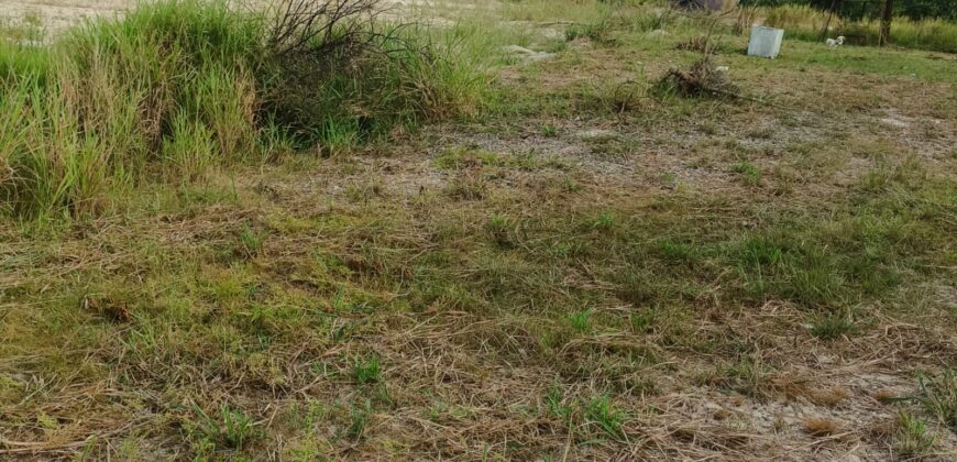 DIJUAL TANAH DAN RUMAH Jl. AKI BALAK (SAMPING PERUM MANDIRI REGENCY DAN 613 RJA) – TARAKAN – KALTARA