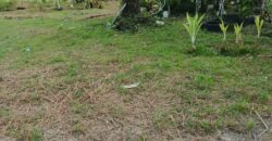 DIJUAL TANAH DAN RUMAH Jl. AKI BALAK (SAMPING PERUM MANDIRI REGENCY DAN 613 RJA) – TARAKAN – KALTARA