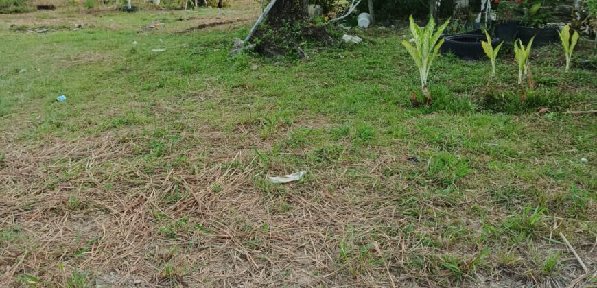 DIJUAL TANAH DAN RUMAH Jl. AKI BALAK (SAMPING PERUM MANDIRI REGENCY DAN 613 RJA) – TARAKAN – KALTARA