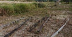 DIJUAL TANAH DAN RUMAH Jl. AKI BALAK (SAMPING PERUM MANDIRI REGENCY DAN 613 RJA) – TARAKAN – KALTARA