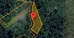 DIJUAL TANAH (± 6 HA) Jl. GN. AMAL (KAMPUNG ENAM)- TARAKAN – KALTARA