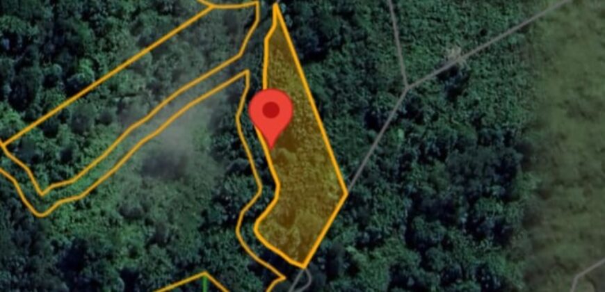 DIJUAL TANAH (± 6 HA) Jl. GN. AMAL (KAMPUNG ENAM)- TARAKAN – KALTARA