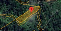 DIJUAL TANAH (± 6 HA) Jl. GN. AMAL (KAMPUNG ENAM)- TARAKAN – KALTARA