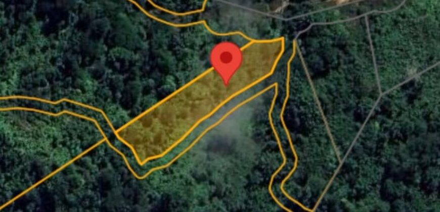 DIJUAL TANAH (± 6 HA) Jl. GN. AMAL (KAMPUNG ENAM)- TARAKAN – KALTARA