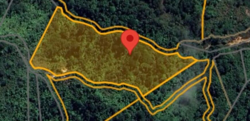 DIJUAL TANAH (± 6 HA) Jl. GN. AMAL (KAMPUNG ENAM)- TARAKAN – KALTARA